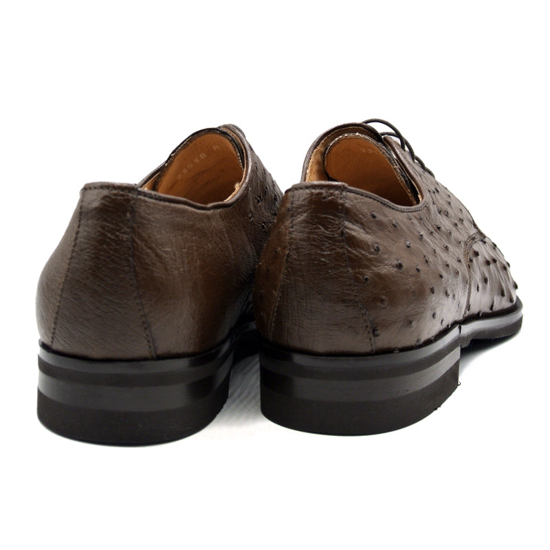 Zelli Italia Men's 23-538-BRN ANDREA Ostrich Quill Lace Up, Brown