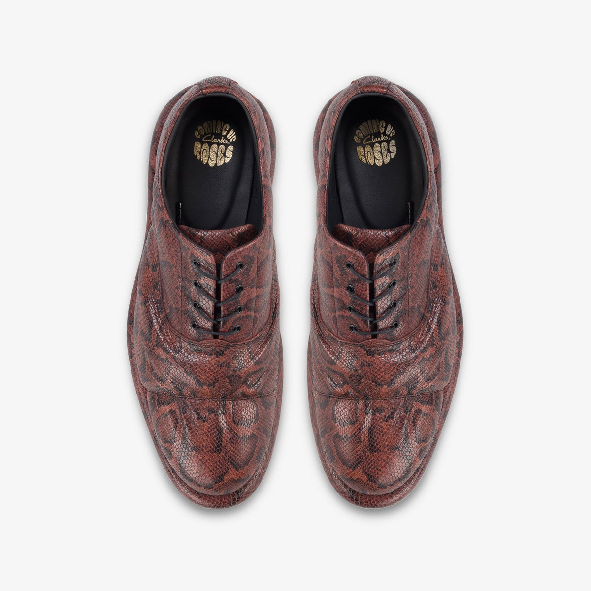 Clarks Originals x Martine Rose Oxford 1 Men's Brown Snake 26178371 — top view