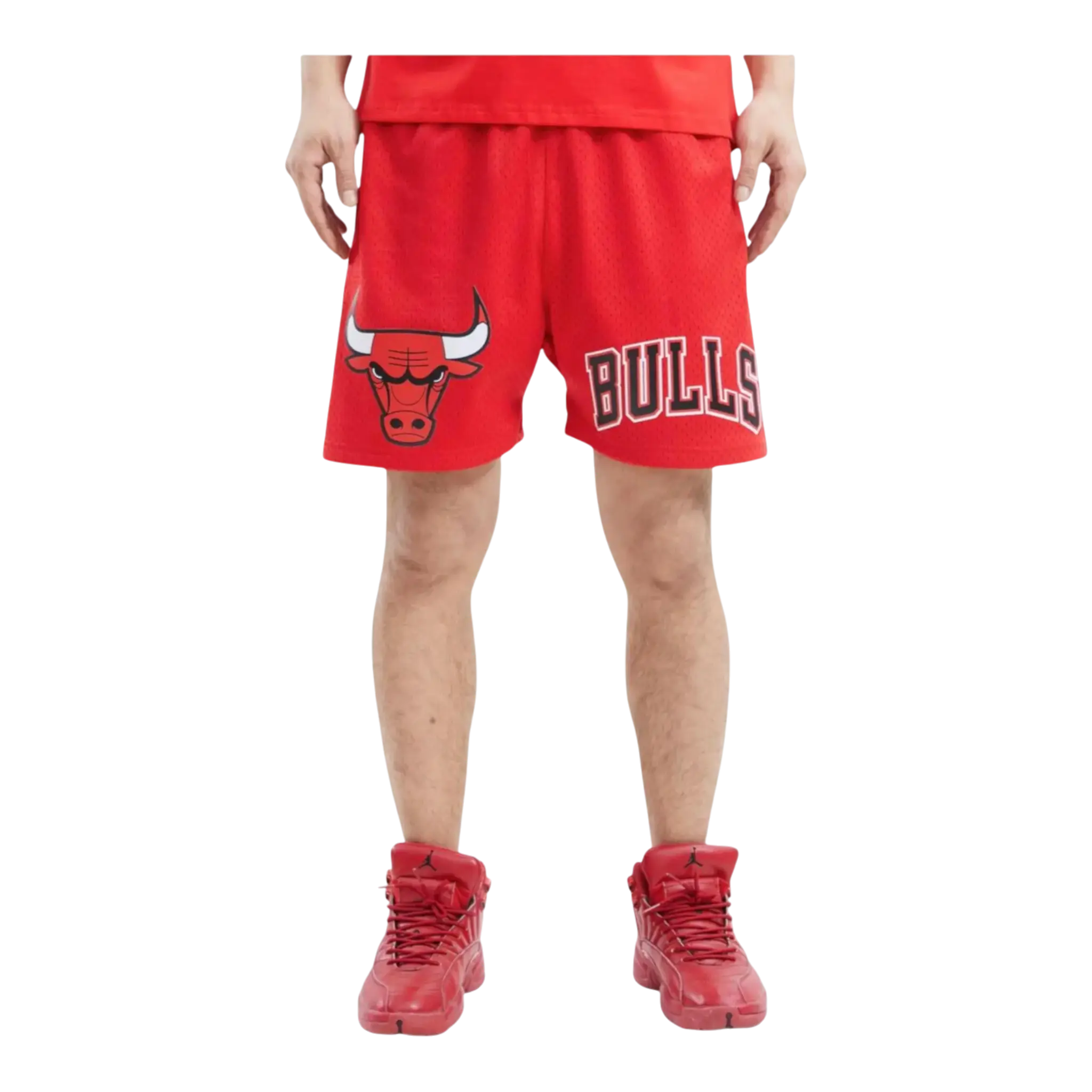Pro Standard NBA Chicago Bulls Logo Mesh Men's Shorts — Red