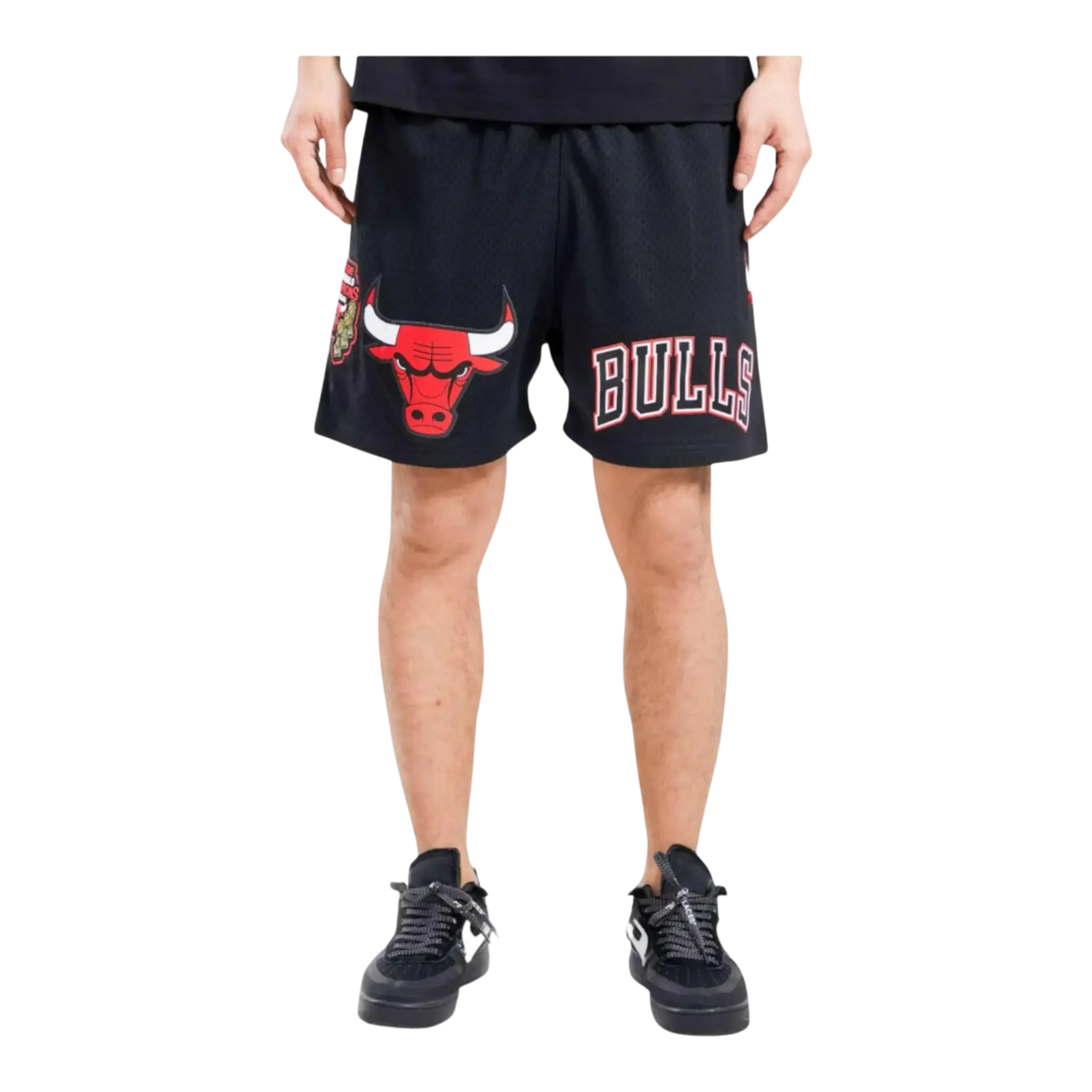 Pro Standard NBA Chicago Bulls Logo Mesh Men's Shorts — Black