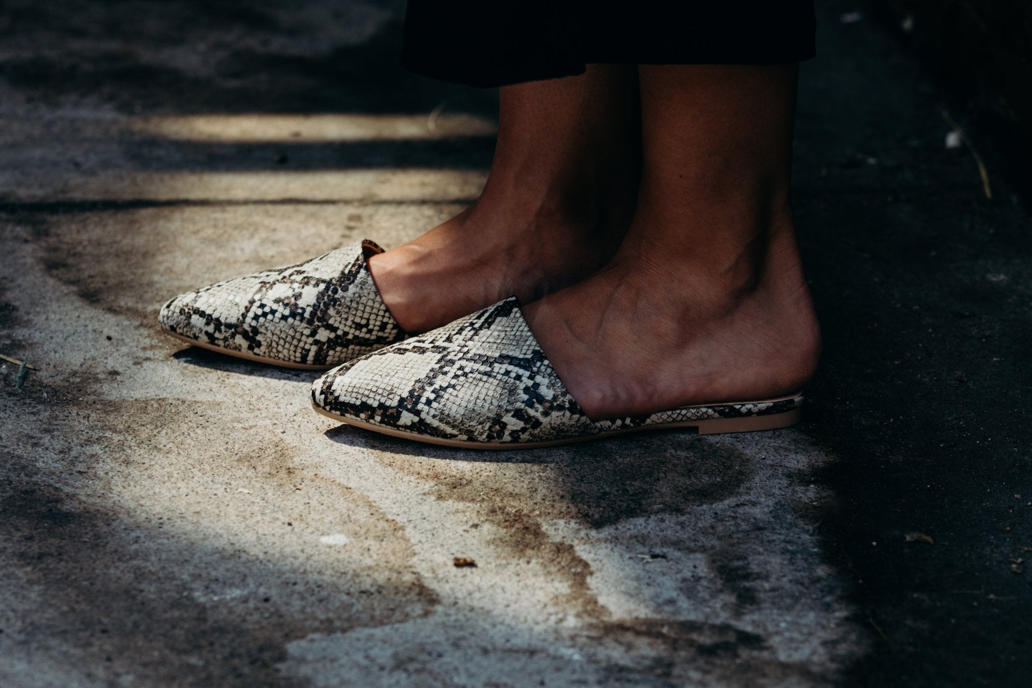 Lennox | Brown Snake
