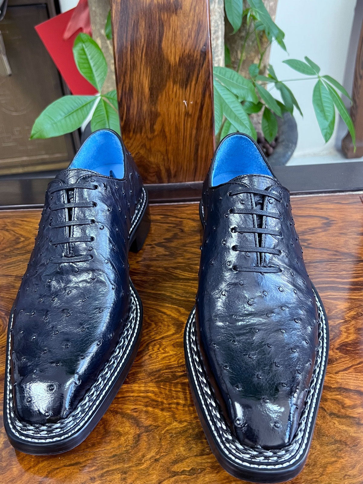 C&E Fashions Maurice Ostrich Lover Oxford - Navy – product view 1
