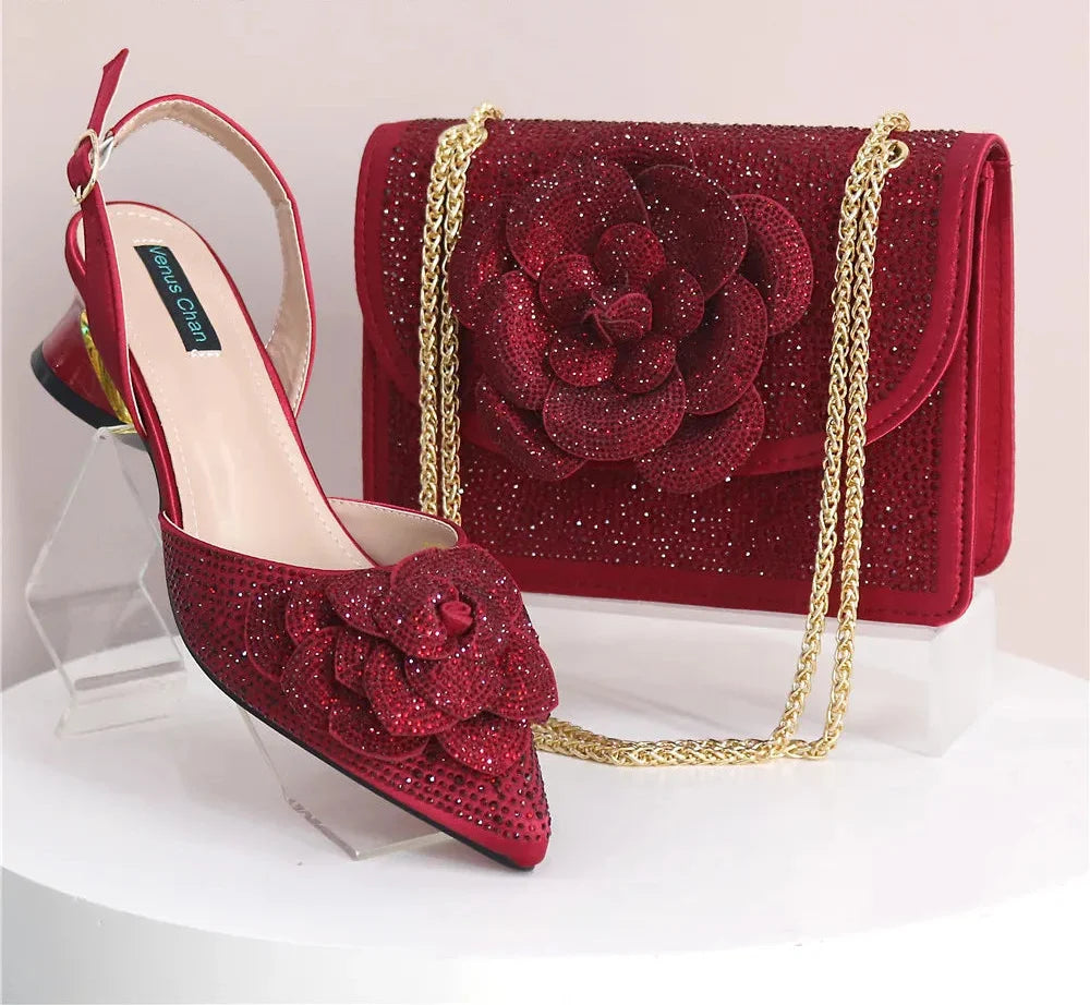 Elegant Lady Shoes And Bag Set EW452