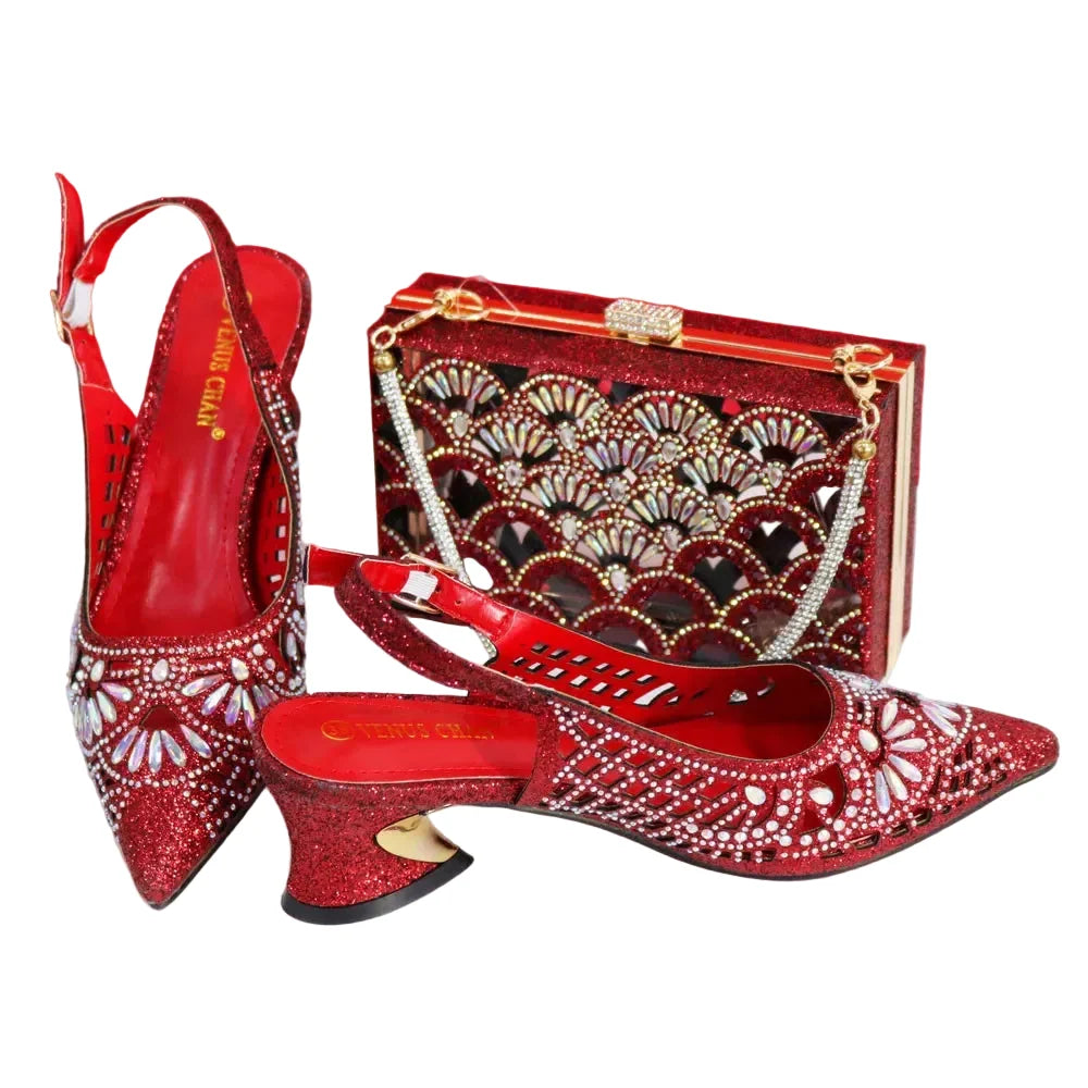 Elegant Ladies Shoes and Bag Set WEQ34