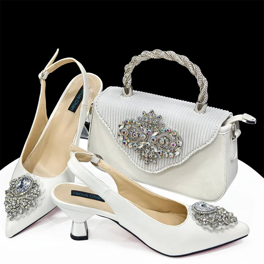 High Quality Ladies Shoes And Bags Set HAS1-23