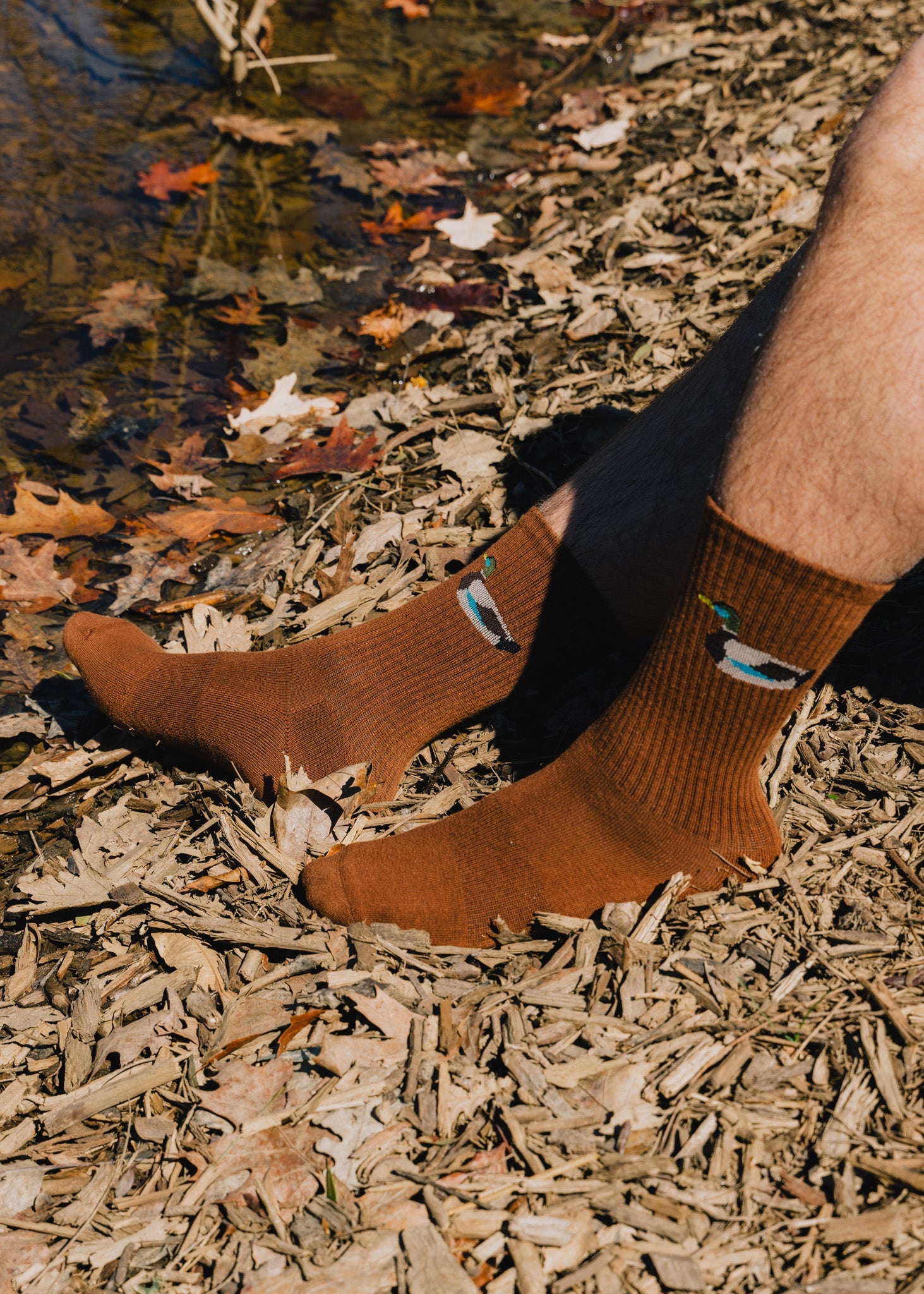 American Trench The Zoo Crew Socks back view