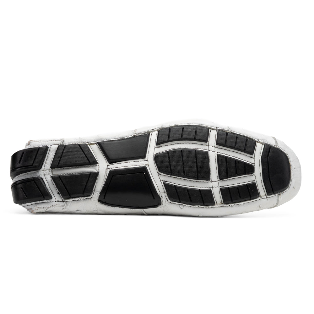 Bolonia White