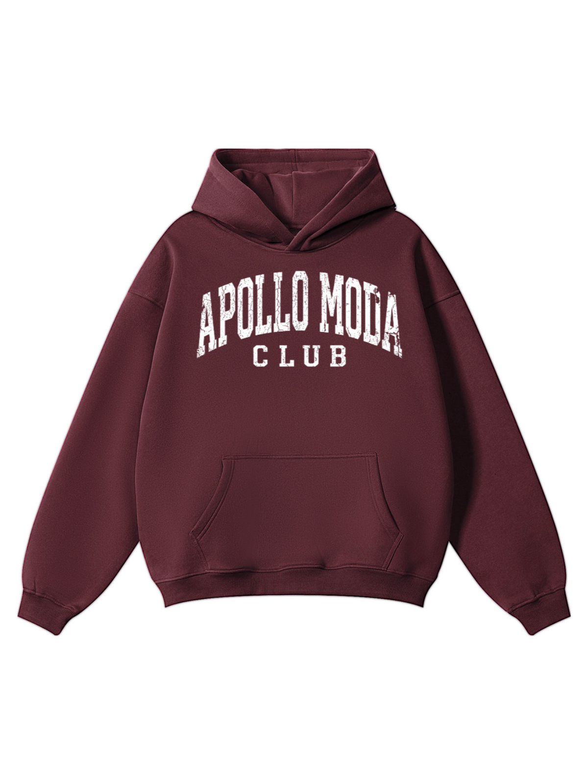 Apollo Moda Club Collegiate Oversized Heavyweight Hoodie – product view 2