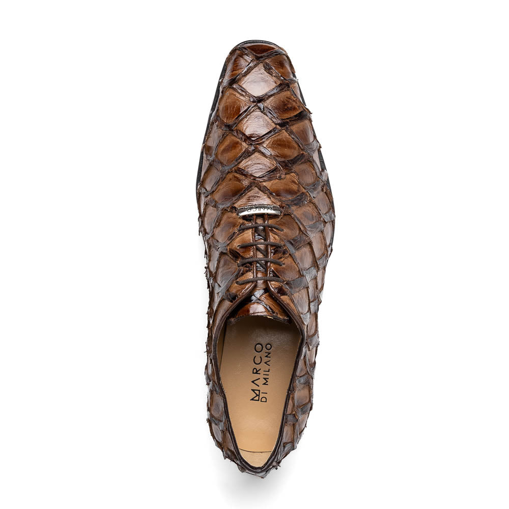Olivieri Clear Brown
