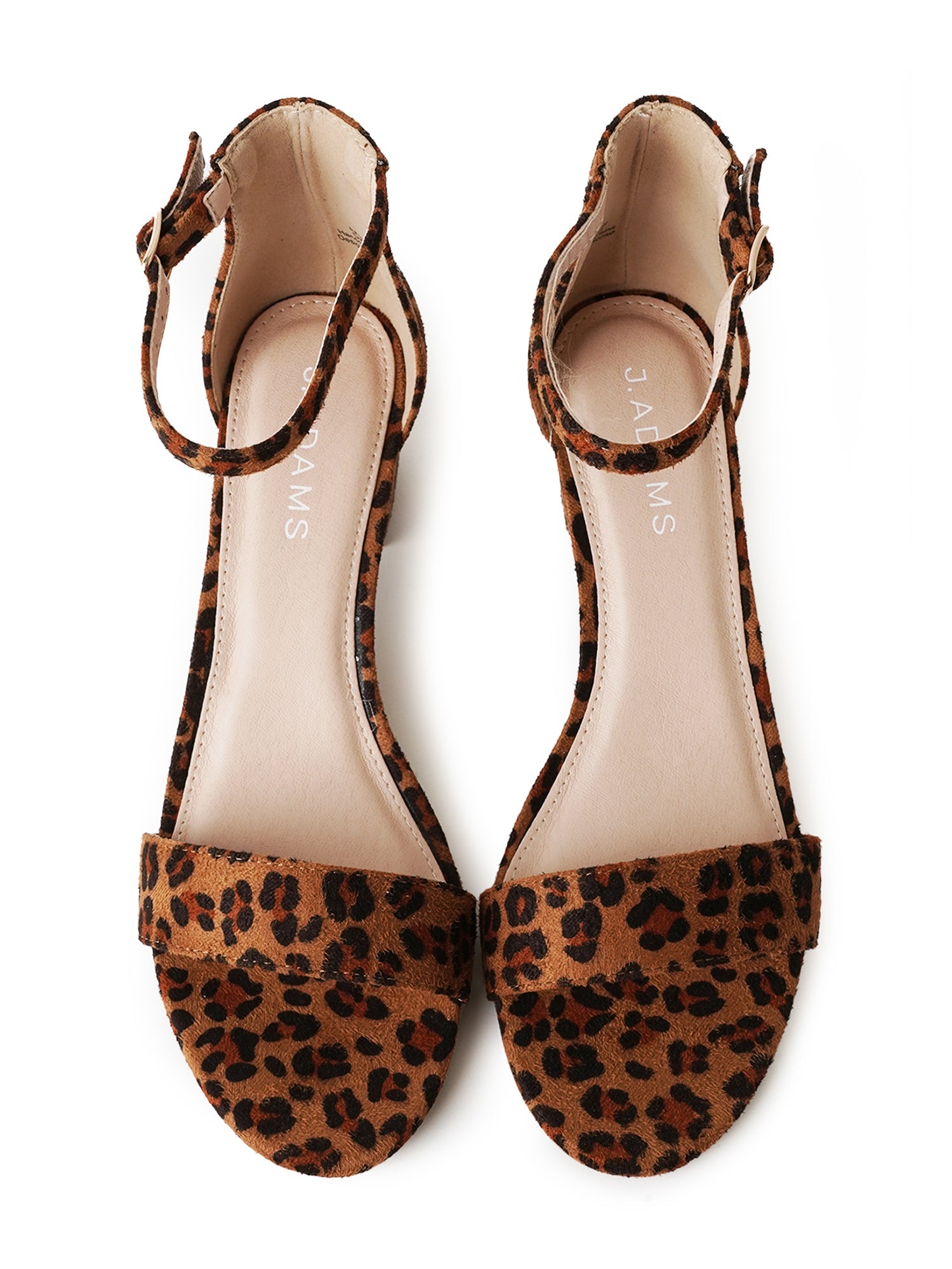 Daisy | Leopard