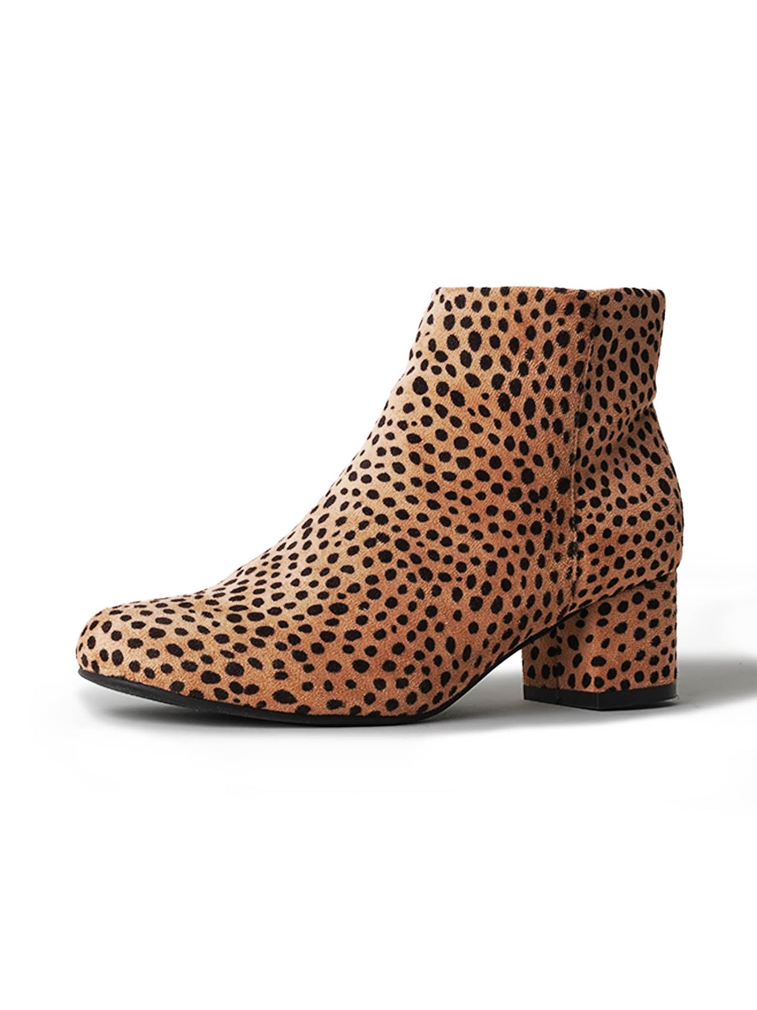 Jody | Cheetah
