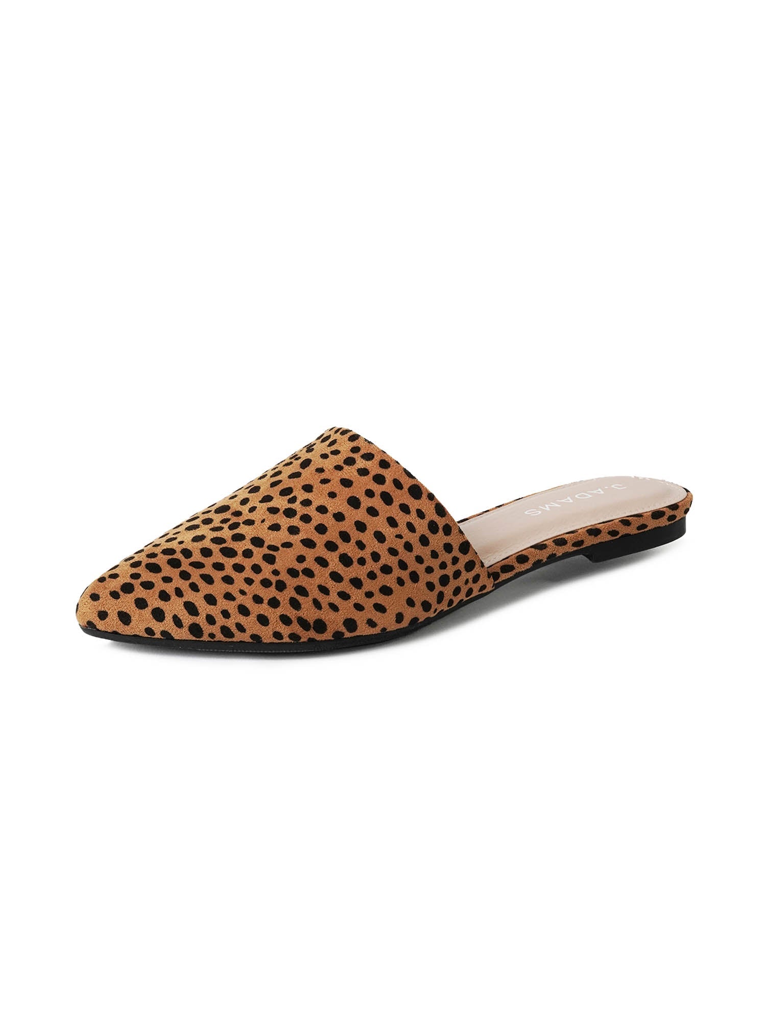 Lennox | Cheetah