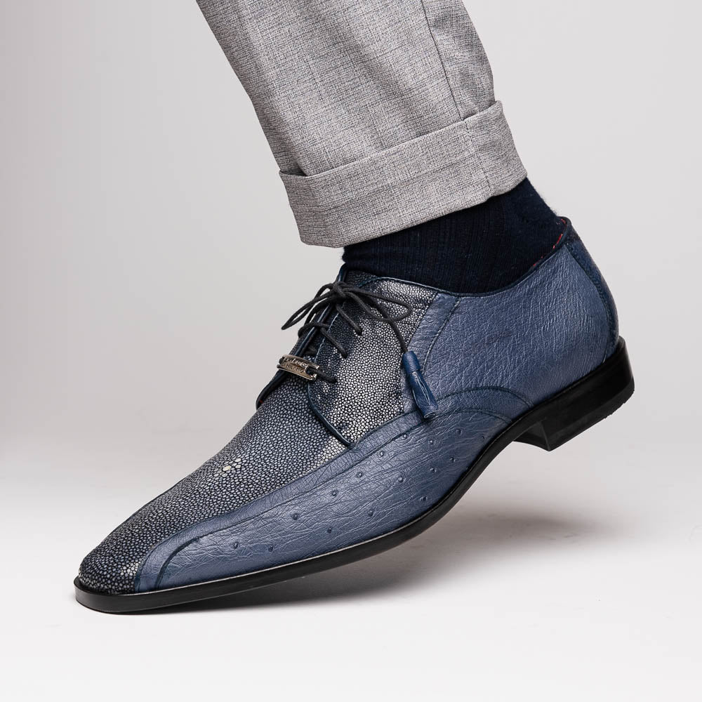 Lucca Navy