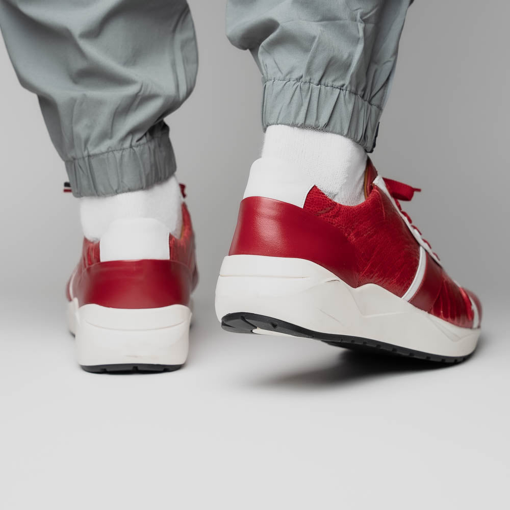 Lyon Red / White