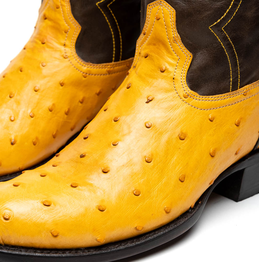 Marco Di Milano Savannah Buttercup – product view 4