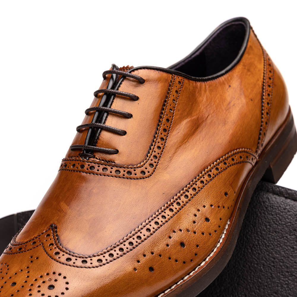 Zelli Italia Men's 25-562-CML STEPHANO Wingtip Oxford Camel