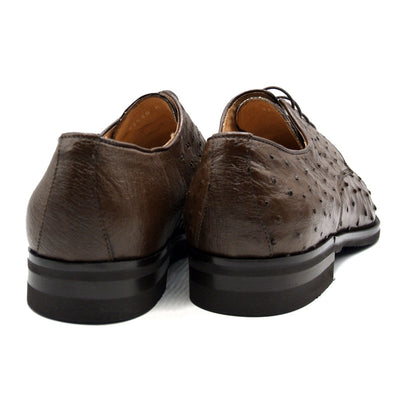 Zelli Italia Men's 23-538-BRN ANDREA Ostrich Quill Lace Up, Brown