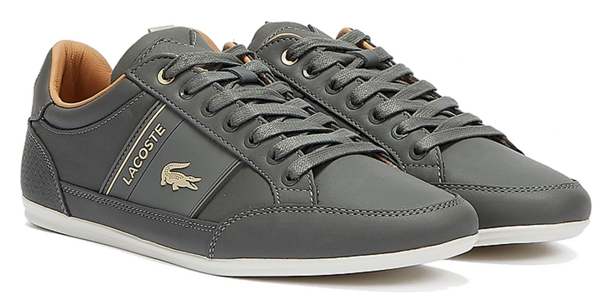 Lacoste Chaymon 0321 1 Cma Leather - 7-42CMA0010-2M1 - Adults — product view 2