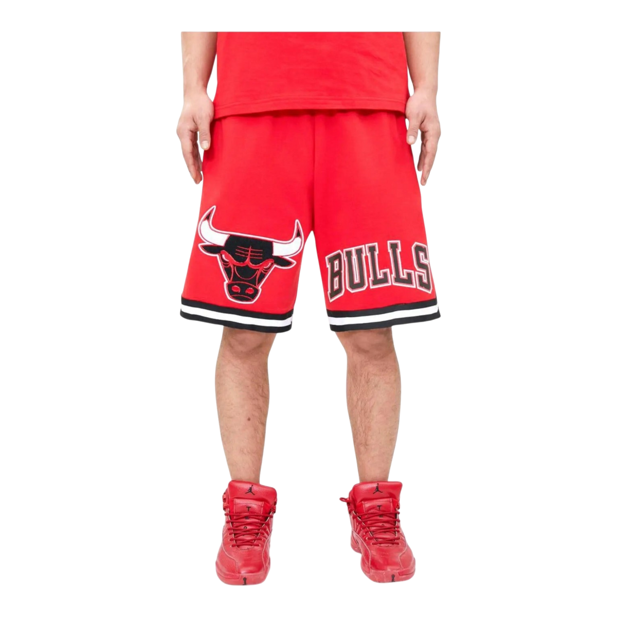 Pro Standard Chicago Bulls Classic Chenille Men's Shorts — Red – product view 1