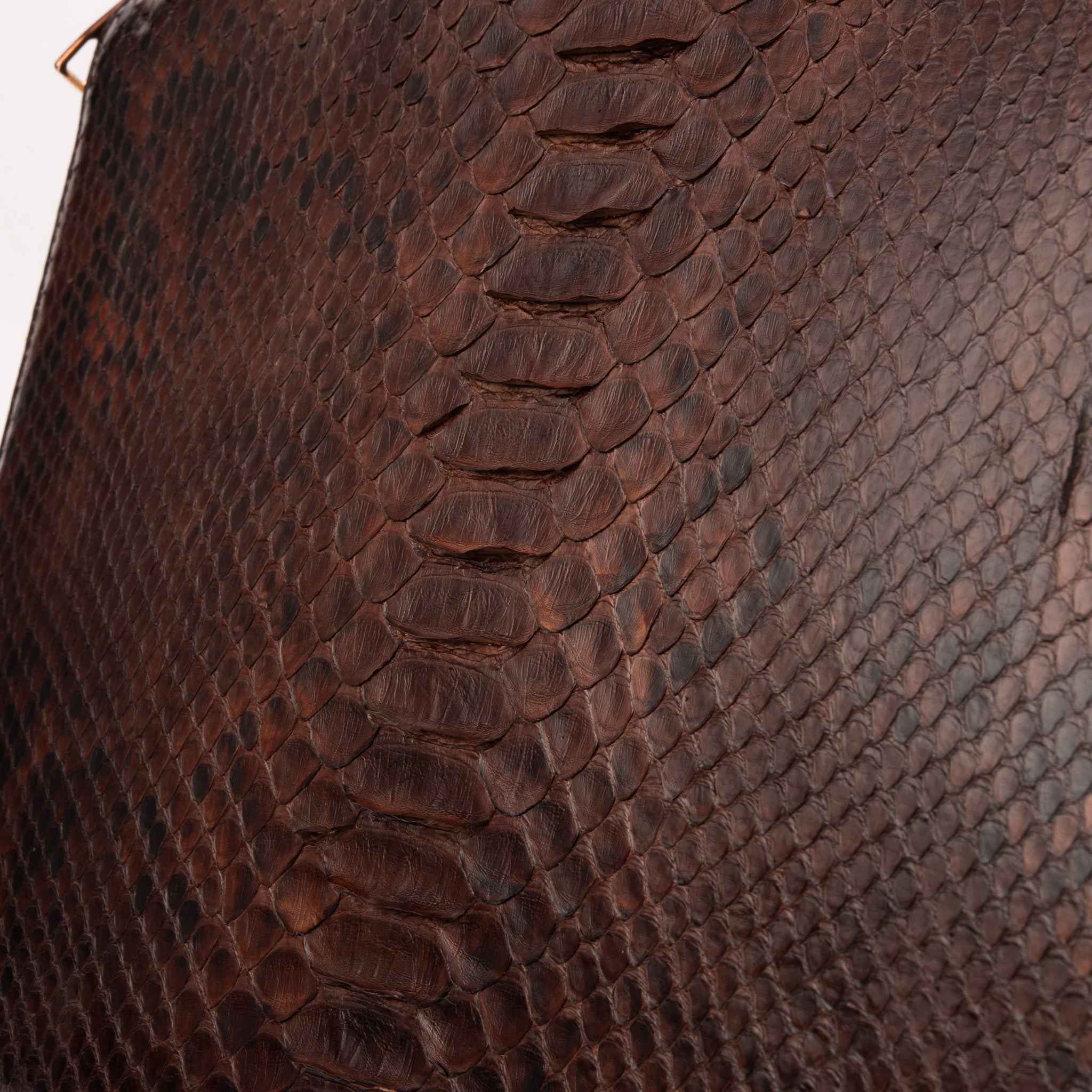 The Varese Brown Hand-Painted Python Leather 14” Laptop Portfolio