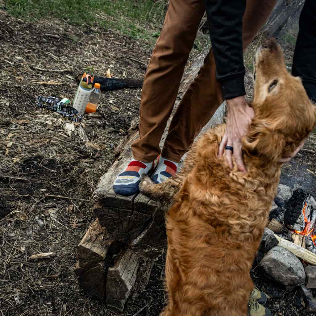 8 Pairs Campfire   Hike Crew Lightweight Merino Wool Sock