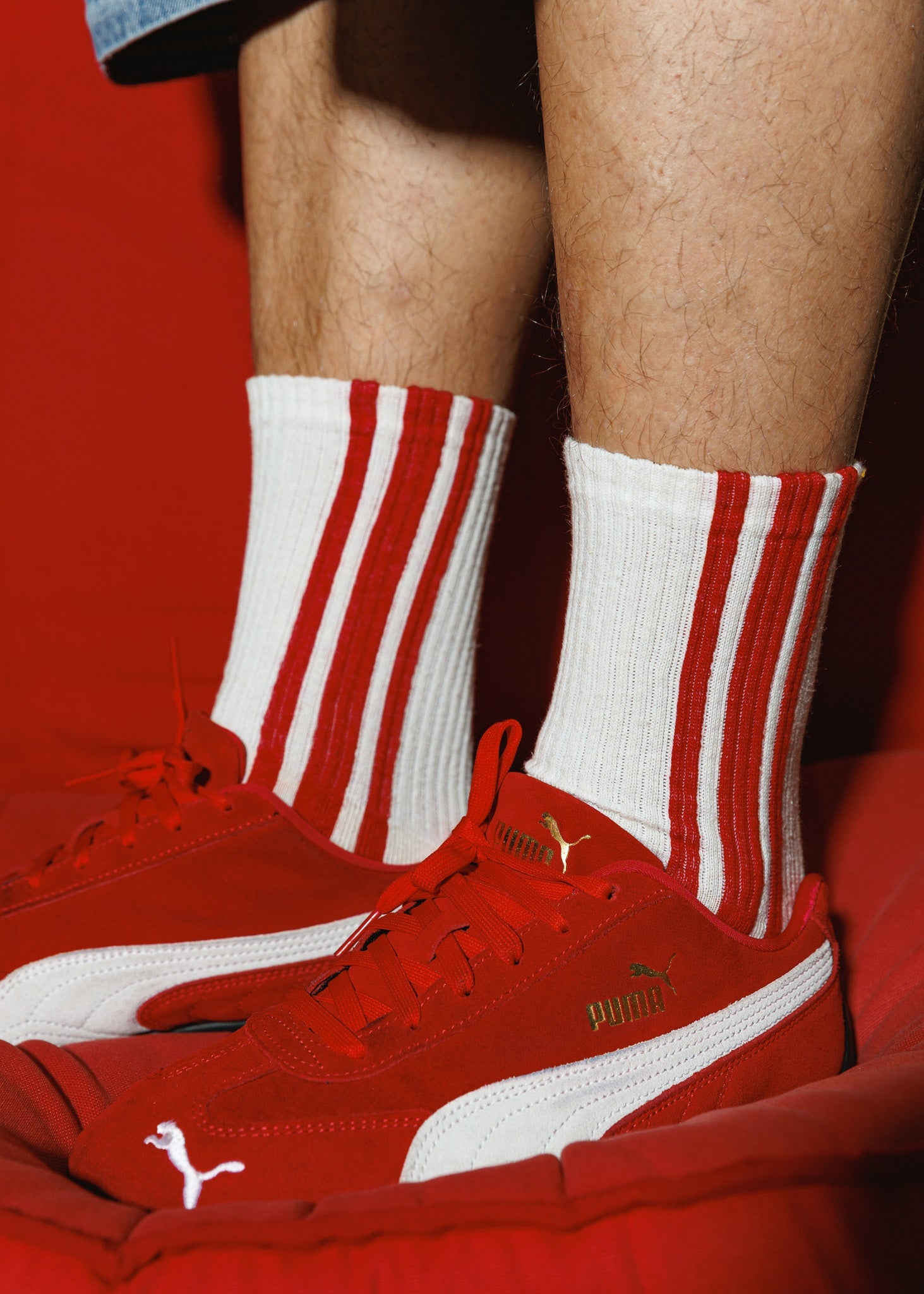 American Trench The Vertical Stripe Socks