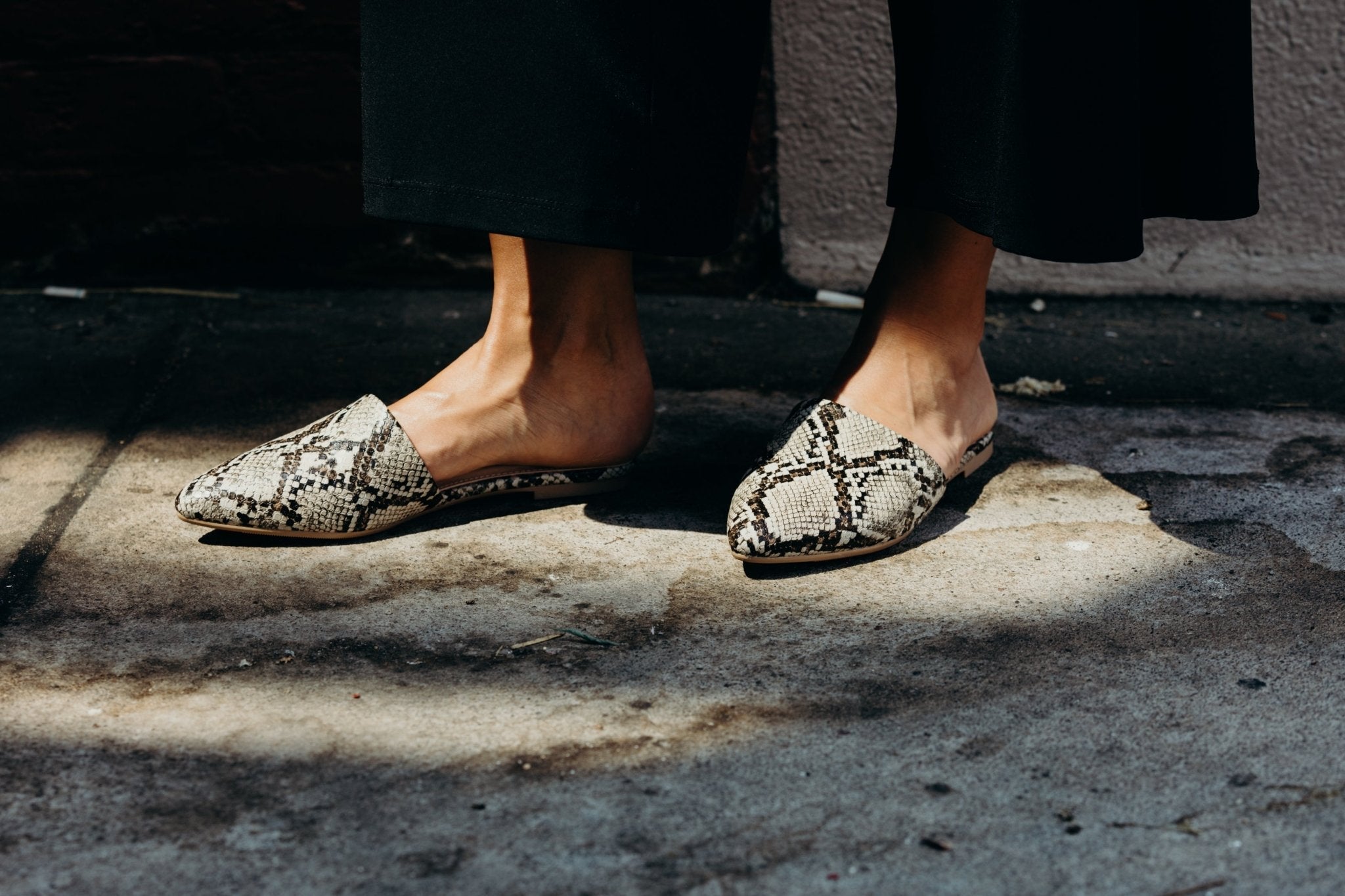 Lennox | Brown Snake