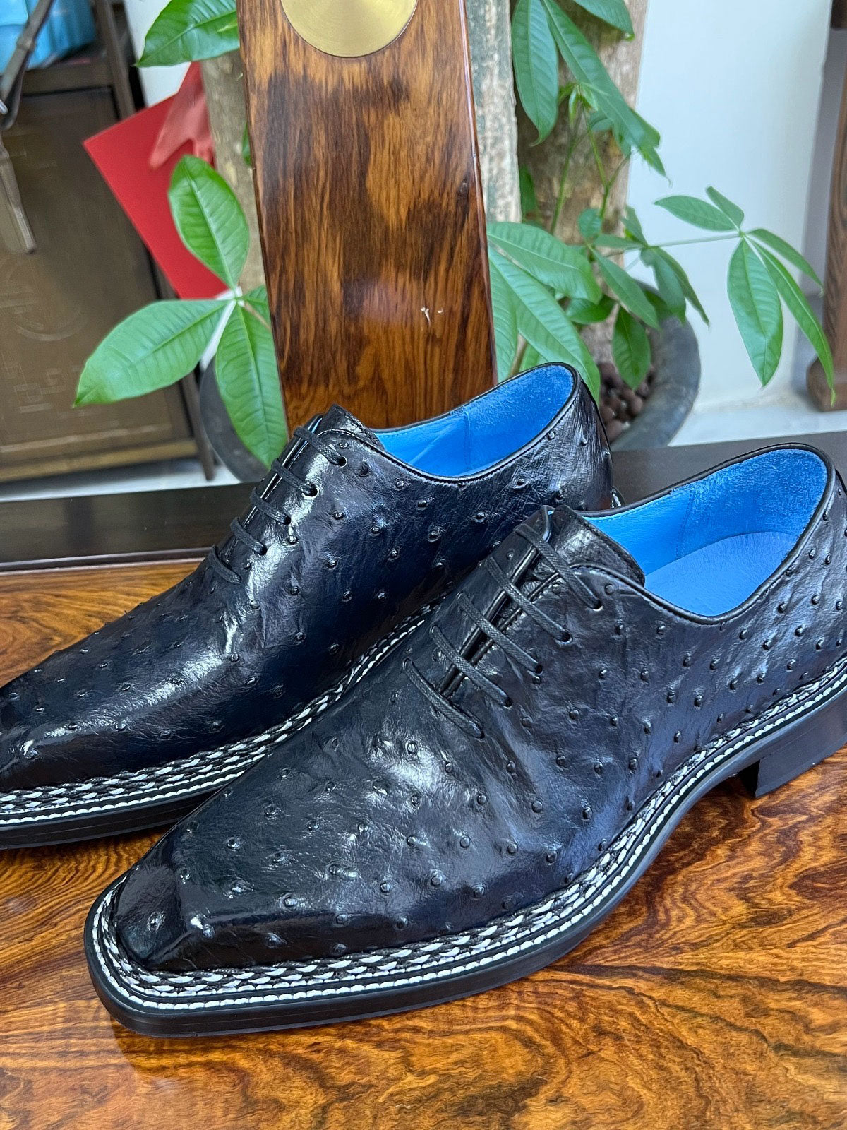 C&E Fashions  Maurice Ostrich Lover Oxford - Navy – product view 2