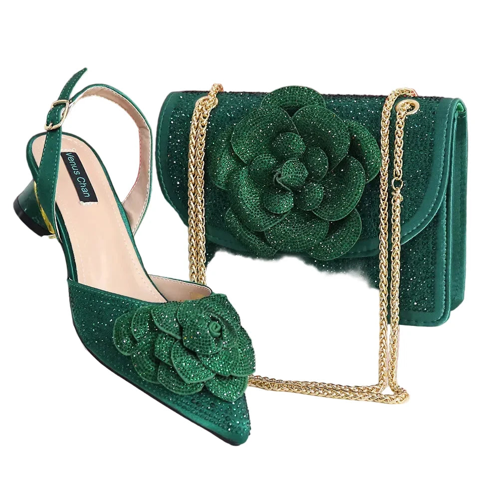 Elegant Lady Shoes And Bag Set with Rhinestone EW4520