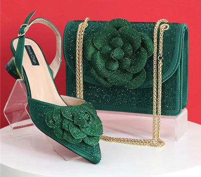 Elegant Lady Shoes And Bag Set EW452