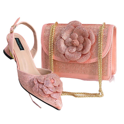 Elegant Lady Shoes And Bag Set EW452