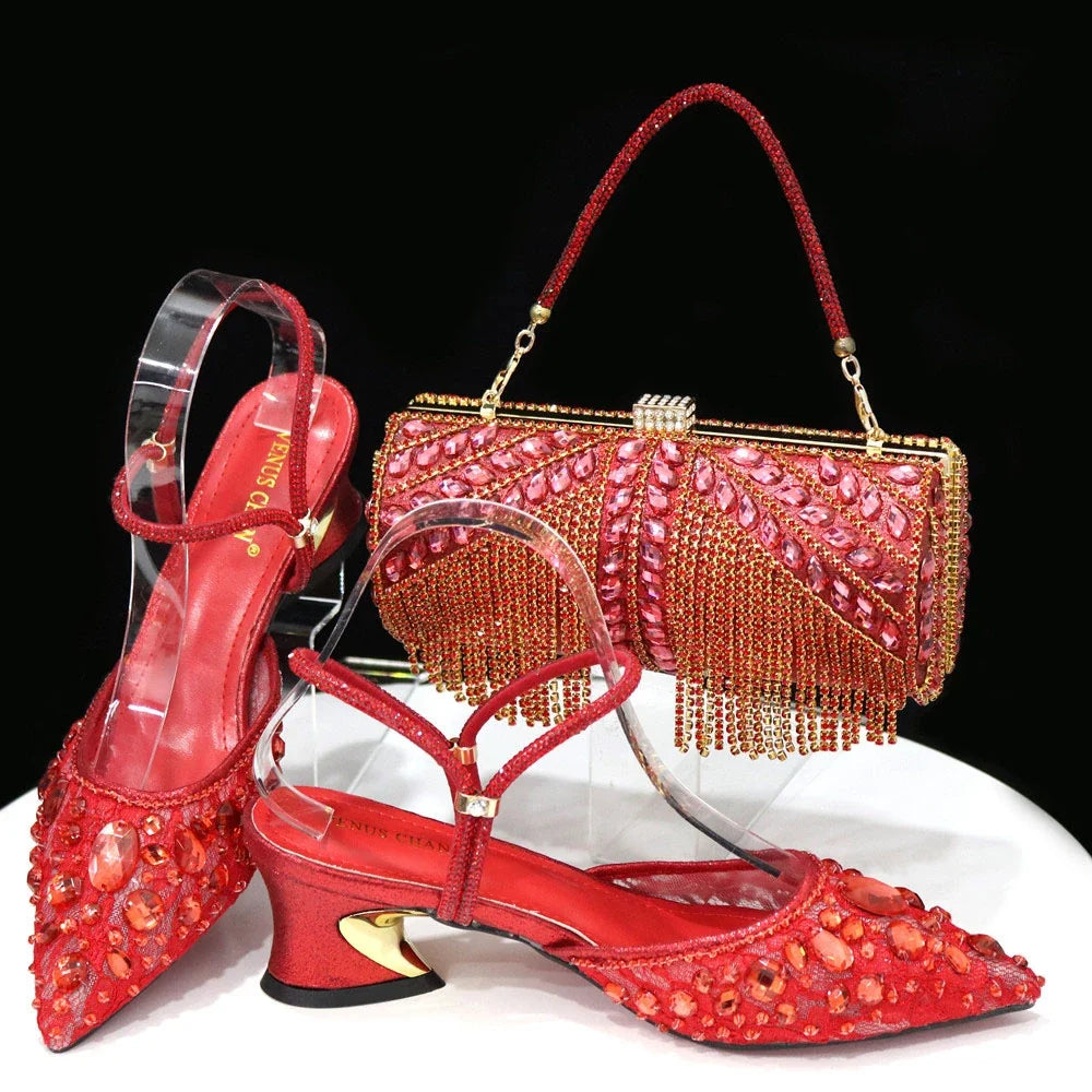 High Quality Ladies Shoes And Bags Set HAQ1-5 – product view 6