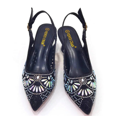 Elegant Ladies Shoes and Bag Set WEQ34