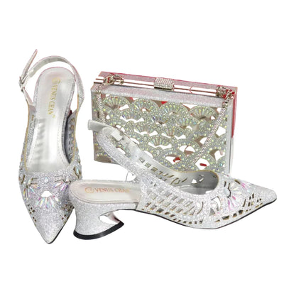 Elegant Ladies Shoes and Bag Set WEQ34