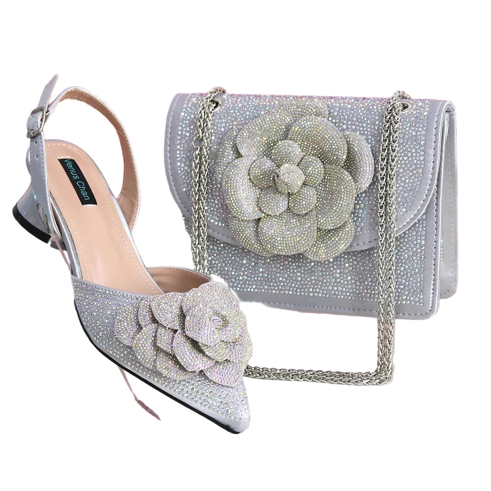 Elegant Lady Shoes And Bag Set EW452