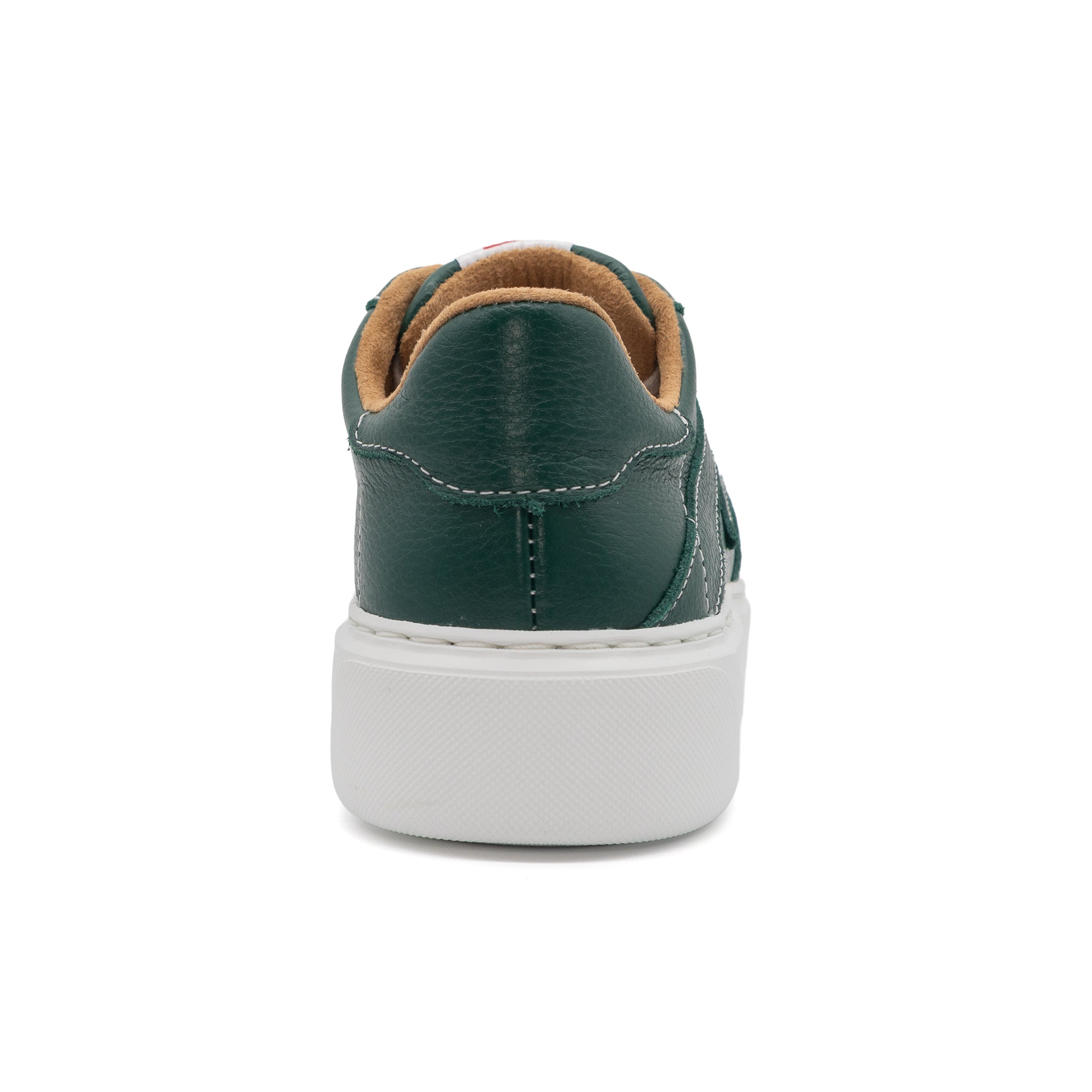 601 Solid | Forest