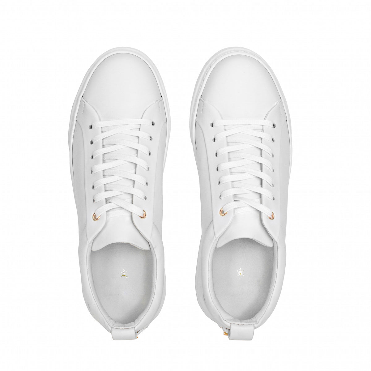 Women's Traviata - White – top view