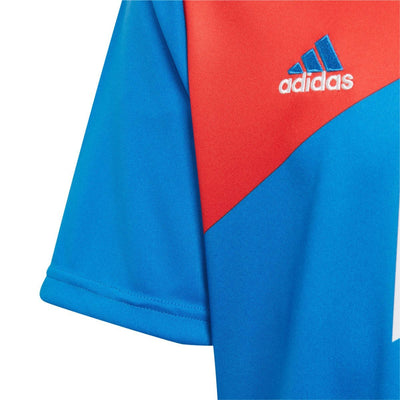 adidas Youth  FC Bayern Preshi Jersey - Red / Bright Royal