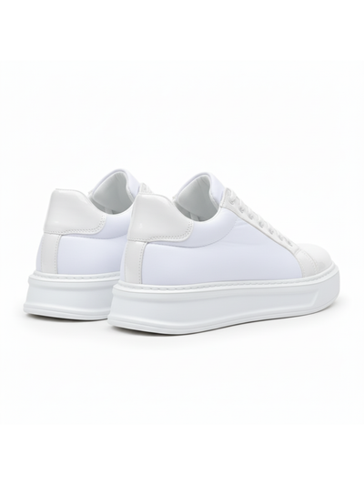 Men's Titan Arctic