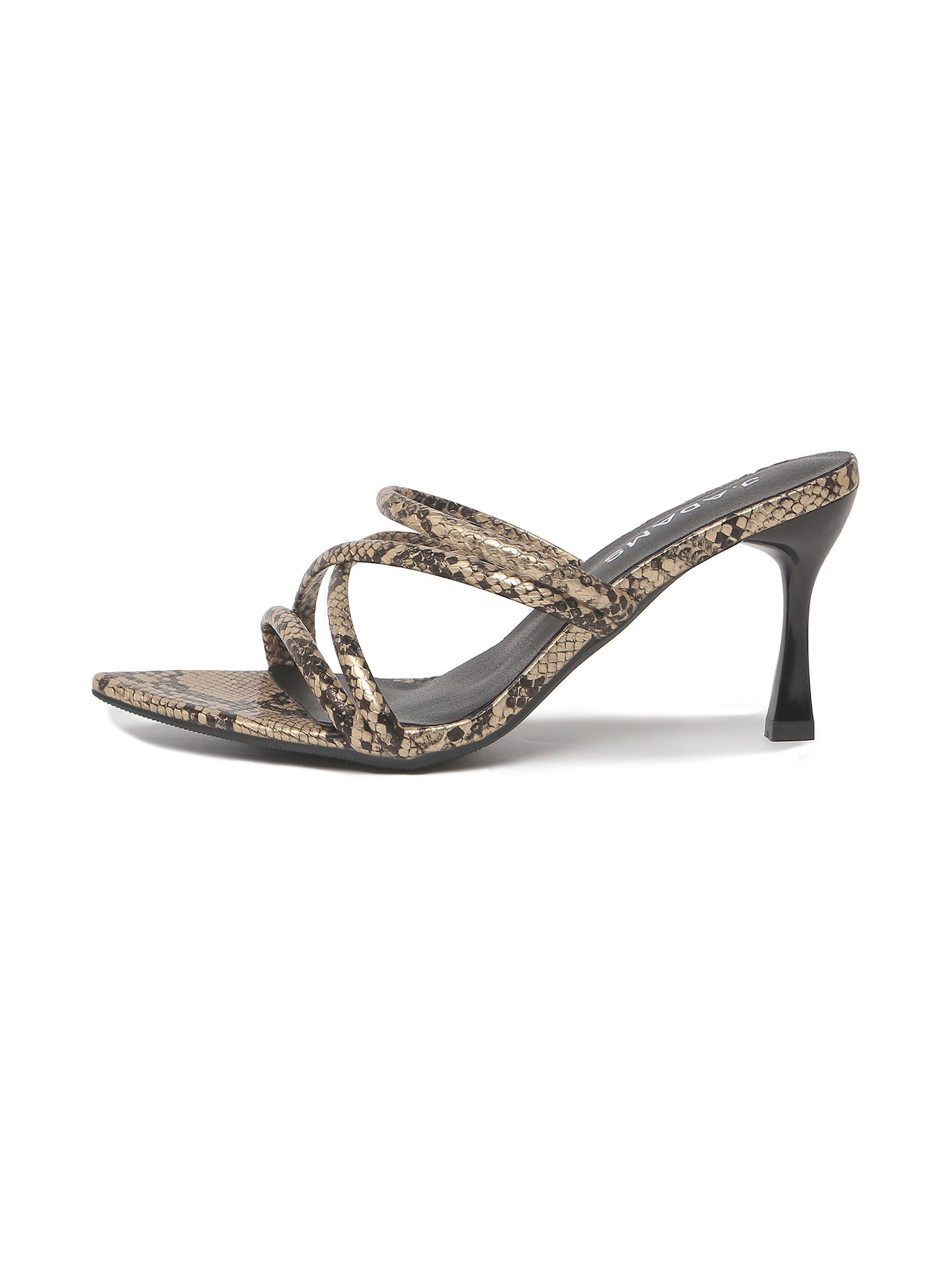 Alice | Gold/Black Snake