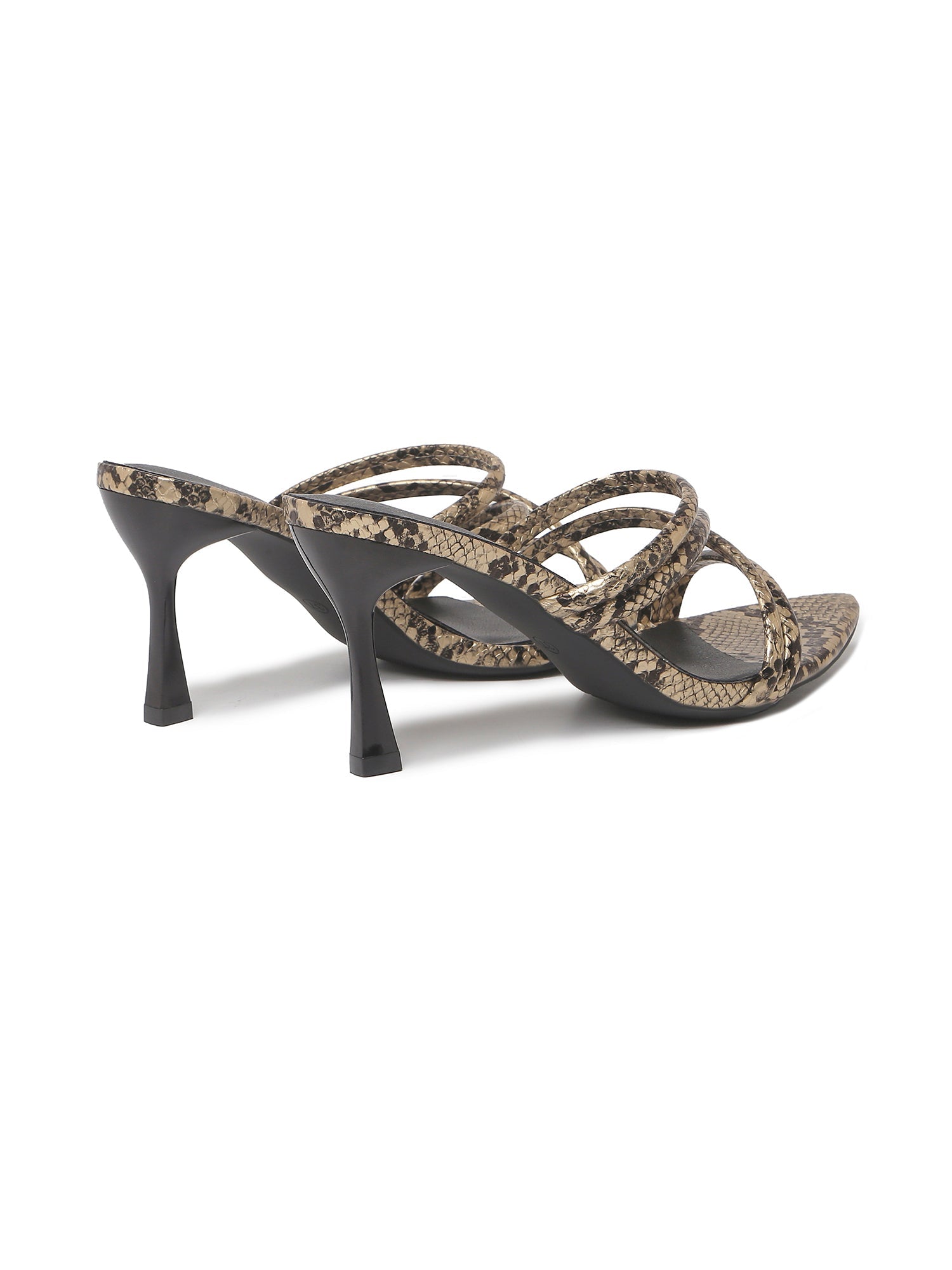 Alice | Gold/Black Snake