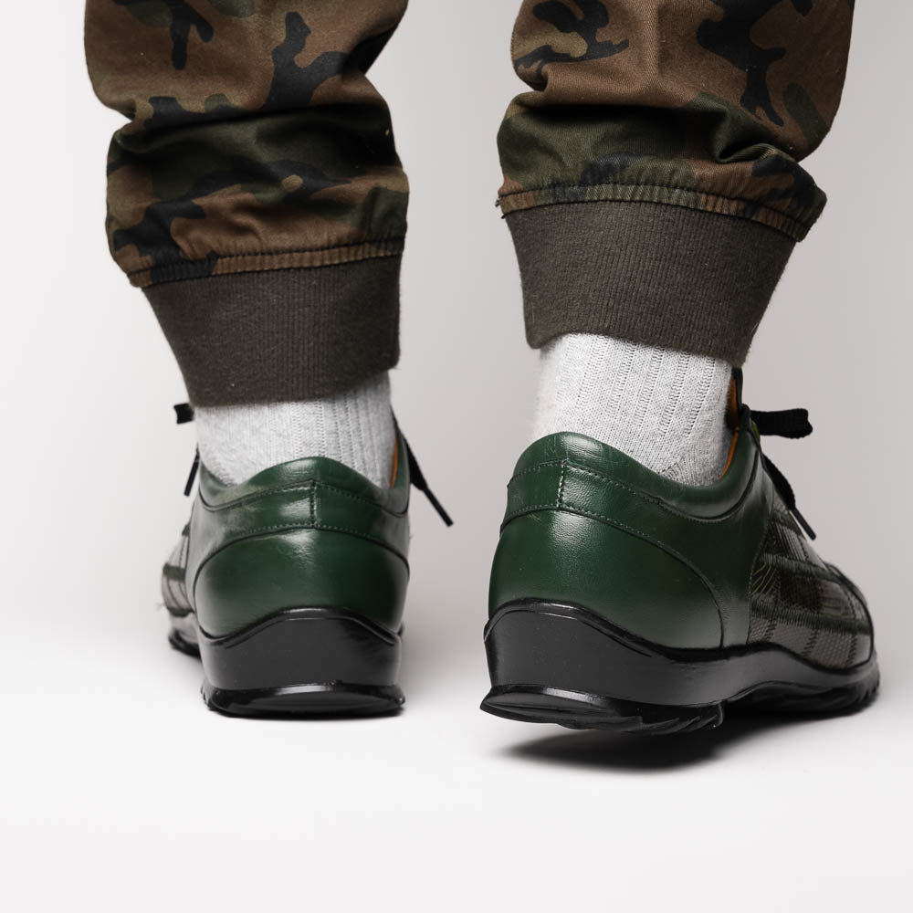Bari Green