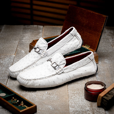 Bolonia White