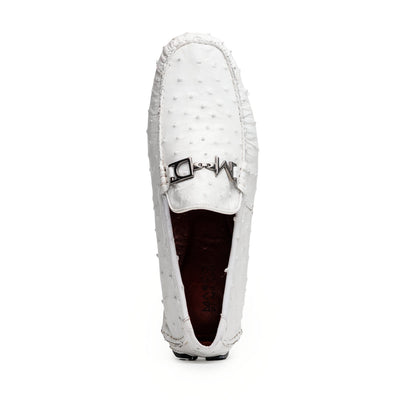 Bolonia White