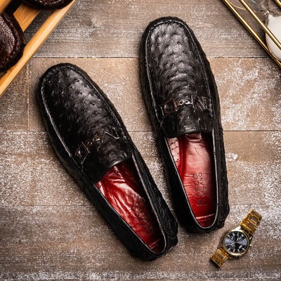 Bolonia Black