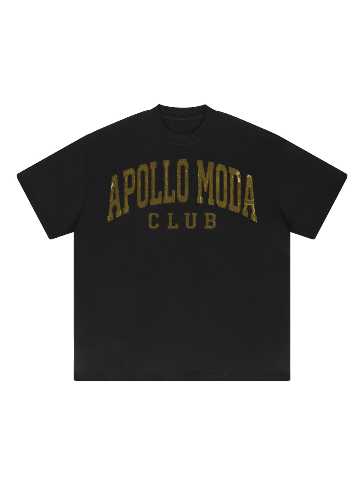Apollo Moda  Club Gold Collegiate Oversized Tee – product view 2