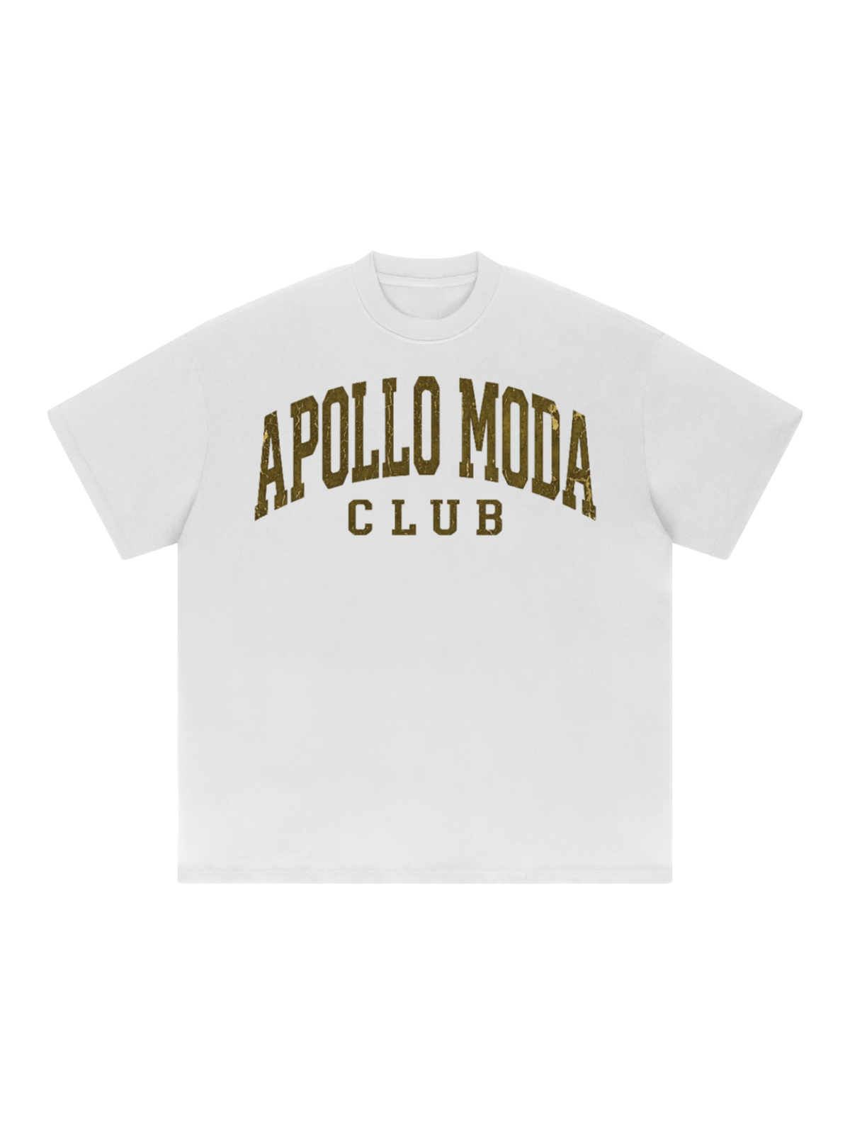 Apollo Moda  Club Gold Collegiate Oversized Tee – product view 2
