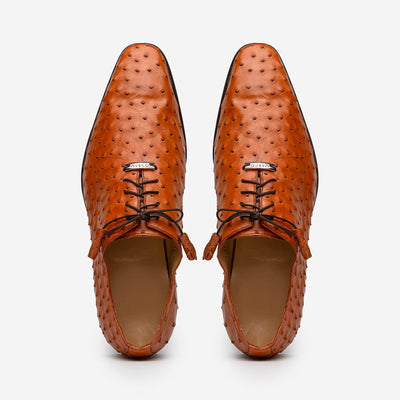 Criss  Brandy