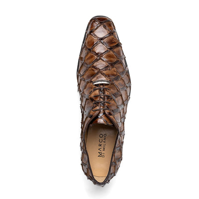 Olivieri Clear Brown