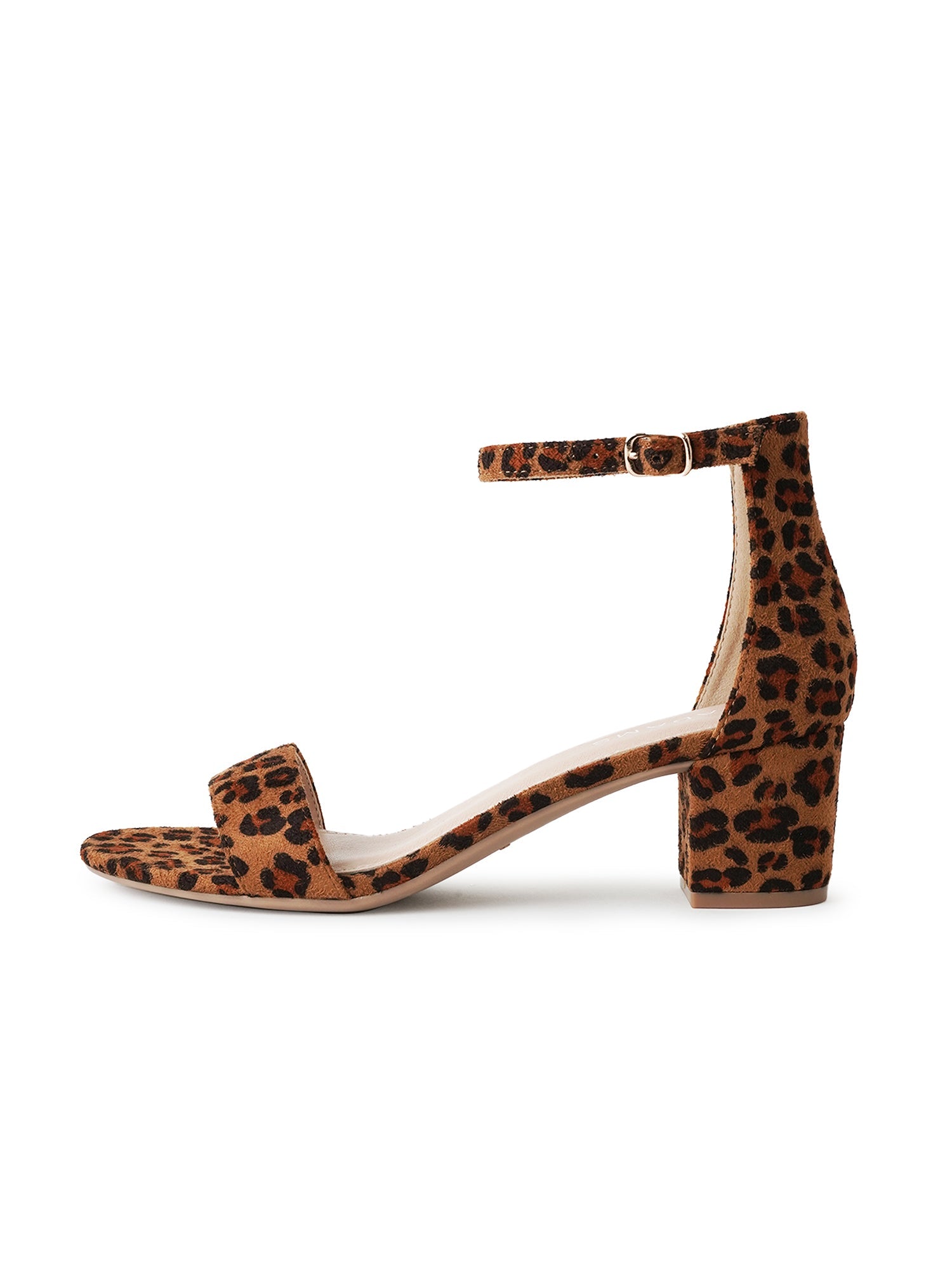 Daisy | Leopard